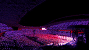 StadiumAustralia  GIF
