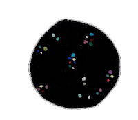 space cookie Sticker by Clara Cebrian