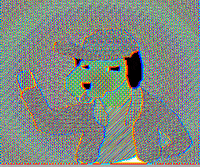 Digital art gif. Cool looking dog with a hat on and a paw up is grooving.