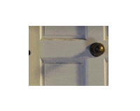 Video Photo Sticker by Teralon