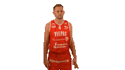 Sport Basketball Sticker by Basket_fi