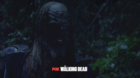 the walking dead fox GIF