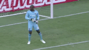 soccer mls GIF by D.C. United