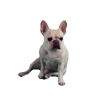 hungry french Sticker by jakey