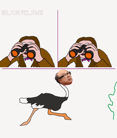 johnshafthauer giphyupload weird random always sunny GIF