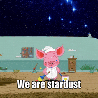 Cosmos Wonder GIF by The Pigasso
