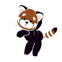 Cat Reels Sticker