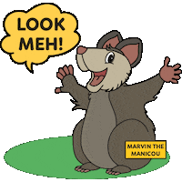 Look At Me Surprise Sticker by Marvin The Manicou