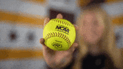 Loyola Softball GIF by LoyolaRamblers