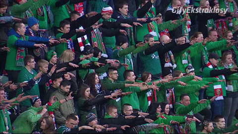GIF by Ekstraklasa