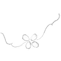 White Rose Flower Sticker
