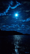 Water Night GIF