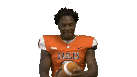 Cnfb Sticker by Carson-Newman Athletics