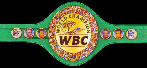 Box Champion GIF by wbcboxing