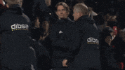 Sheffield United Yes GIF by Sheffield United Football Club