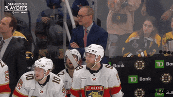 Happy Stanley Cup Playoffs GIF by NHL