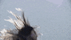 Traitor GIF by Olivia Rodrigo