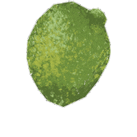 Lime Sticker by Evoolution