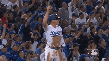 Major League Baseball Sport GIF by MLB