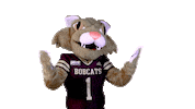Boko Sticker by Texas State University