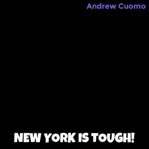 New York Vote GIF by Andrew Cuomo