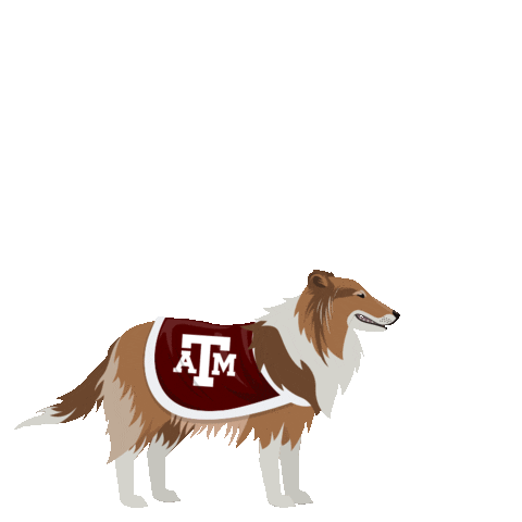 Compete College Football Sticker by Wells Fargo