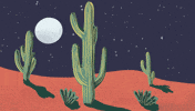 Lizard84 desert cactus full moon night sky GIF
