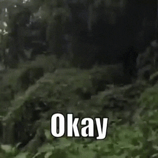 giphyupload meme smile ok okay GIF