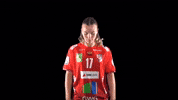 Hbf GIF by Handball Bundesliga Frauen