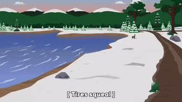season 20 20x3 GIF by South Park 