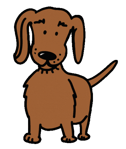 Dog Dachshund Sticker