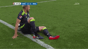 Euro 2016 England GIF by Sporza
