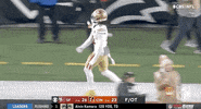 San Francisco 49Ers Football GIF by NFL