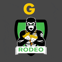 Gool GIF by TJ SIGMA Rodeo