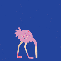 Happy New Year Bird GIF by bymartioska