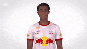 Red Bull Sport GIF by FC Red Bull Salzburg
