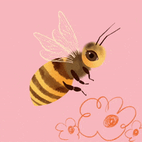 thealicetsai bee thealicetsai thealiceteacher GIF