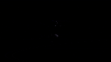 memphis stripeup GIF