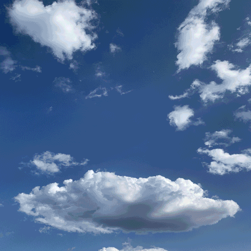 steph_b giphyupload animation flowers abstract GIF