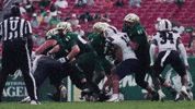 College Football GIF by USF Athletics