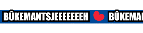 flash dude Sticker by Omrop Fryslân