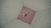 Papercuts GIF by Machine Gun Kelly