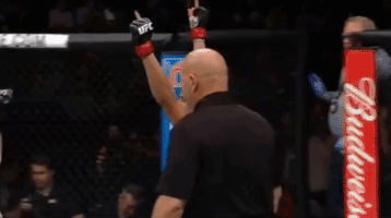 cynthia calvillo mma GIF by UFC