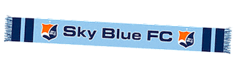 support scarf Sticker by National Women's Soccer League