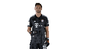 Na Na Na No Sticker by FC Bayern Munich