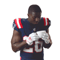 Sony Michel Reaction Sticker by New England Patriots