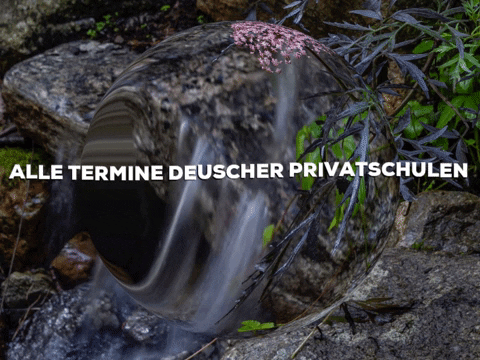 Laugh Smile GIF by PrivatschulenPORTAL.de