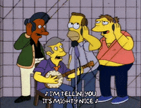 homer simpson GIF