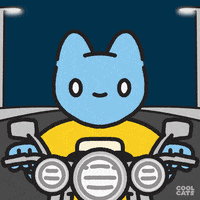 Blue Cat Bike GIF by Cool Cats