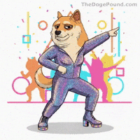 Celebrate Shiba Inu GIF by Doge Pound